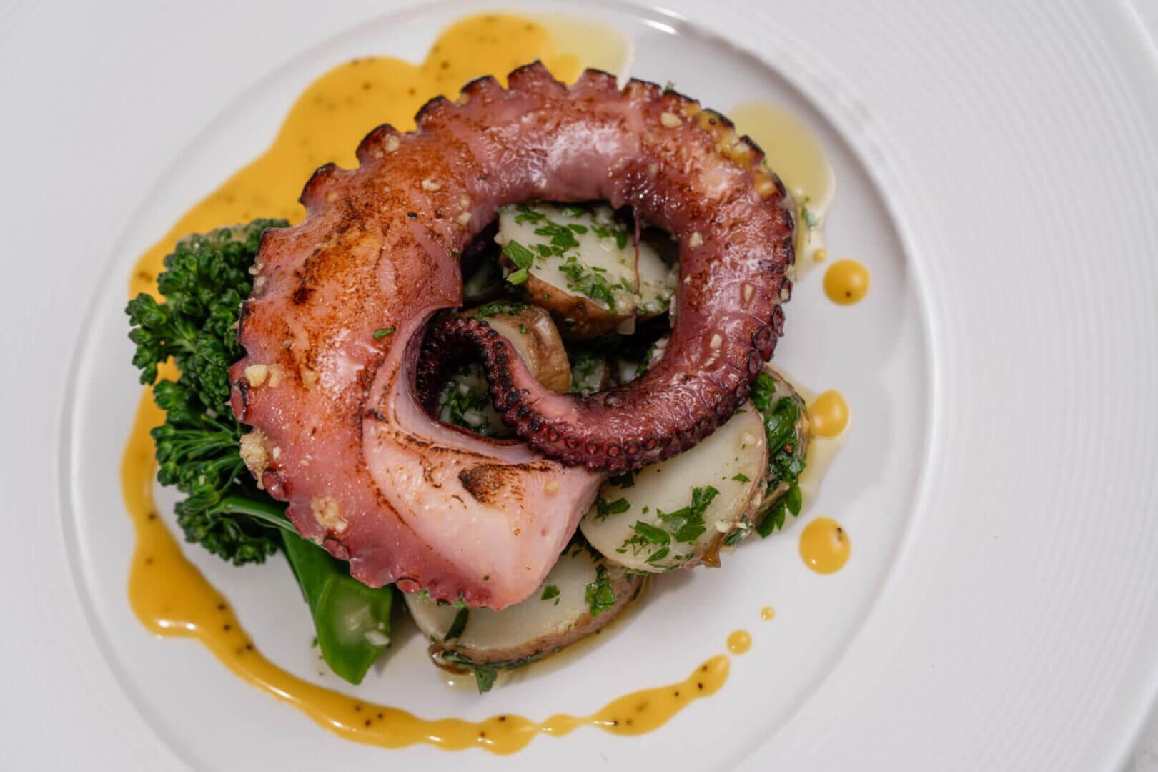 Grilled octopus with vegetables on a plate.
